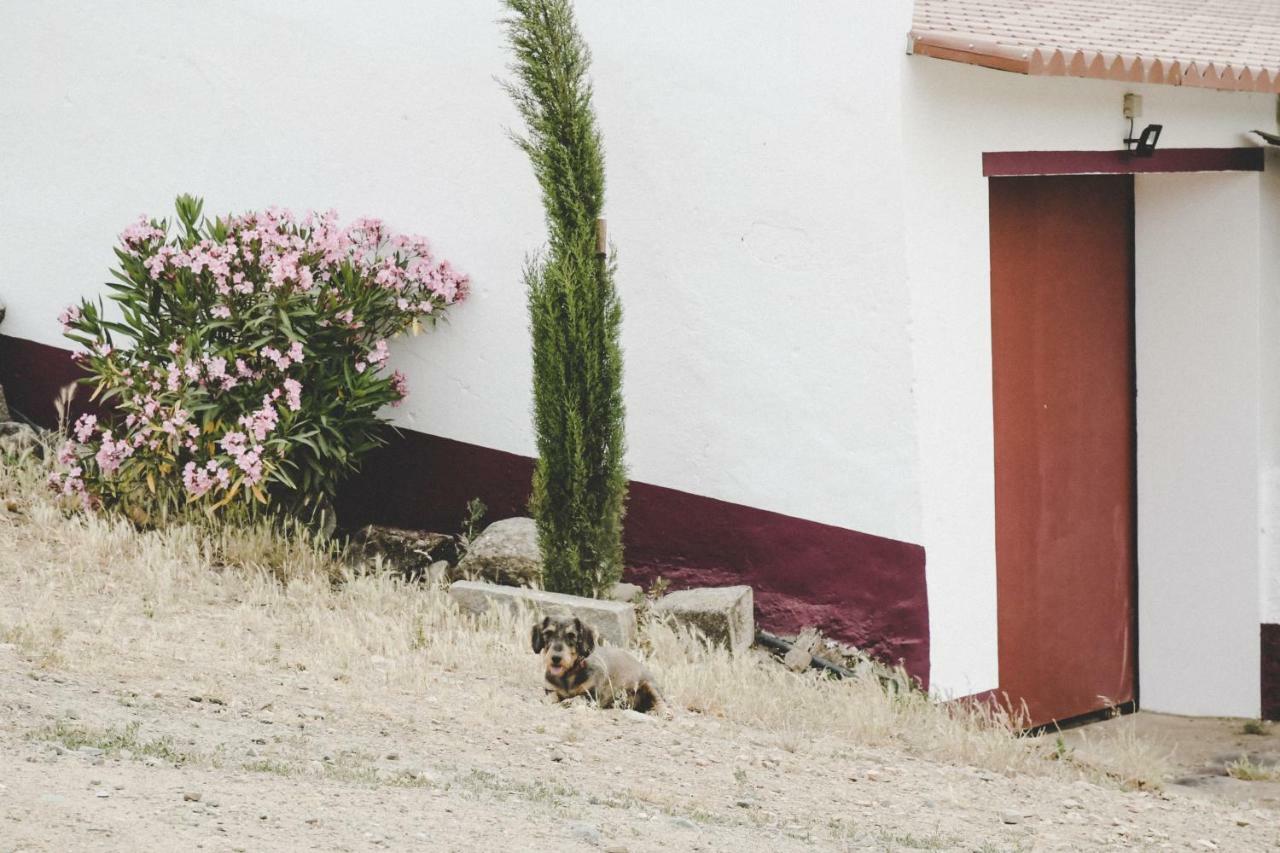 Casas Da Faia - Nature Guest House Arronches Exterior photo